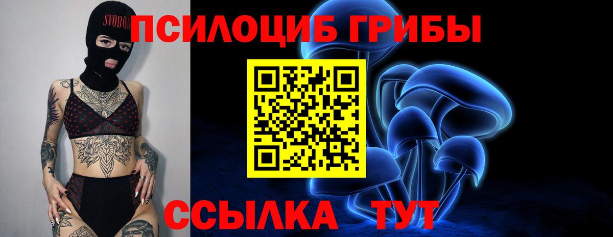 Котлас  где купить наркотик  Вход с VPN  Псилоцибиновые грибы Psilocybine cubensis 